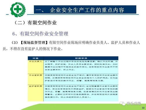 生產經營單位安全生產檢查 內容、程序、方法及網絡技術服務的應用